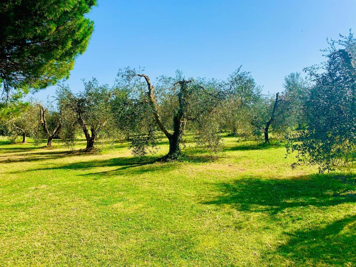 Il Borghetto Di Ansedonia Διαμέρισμα Εξωτερικό φωτογραφία