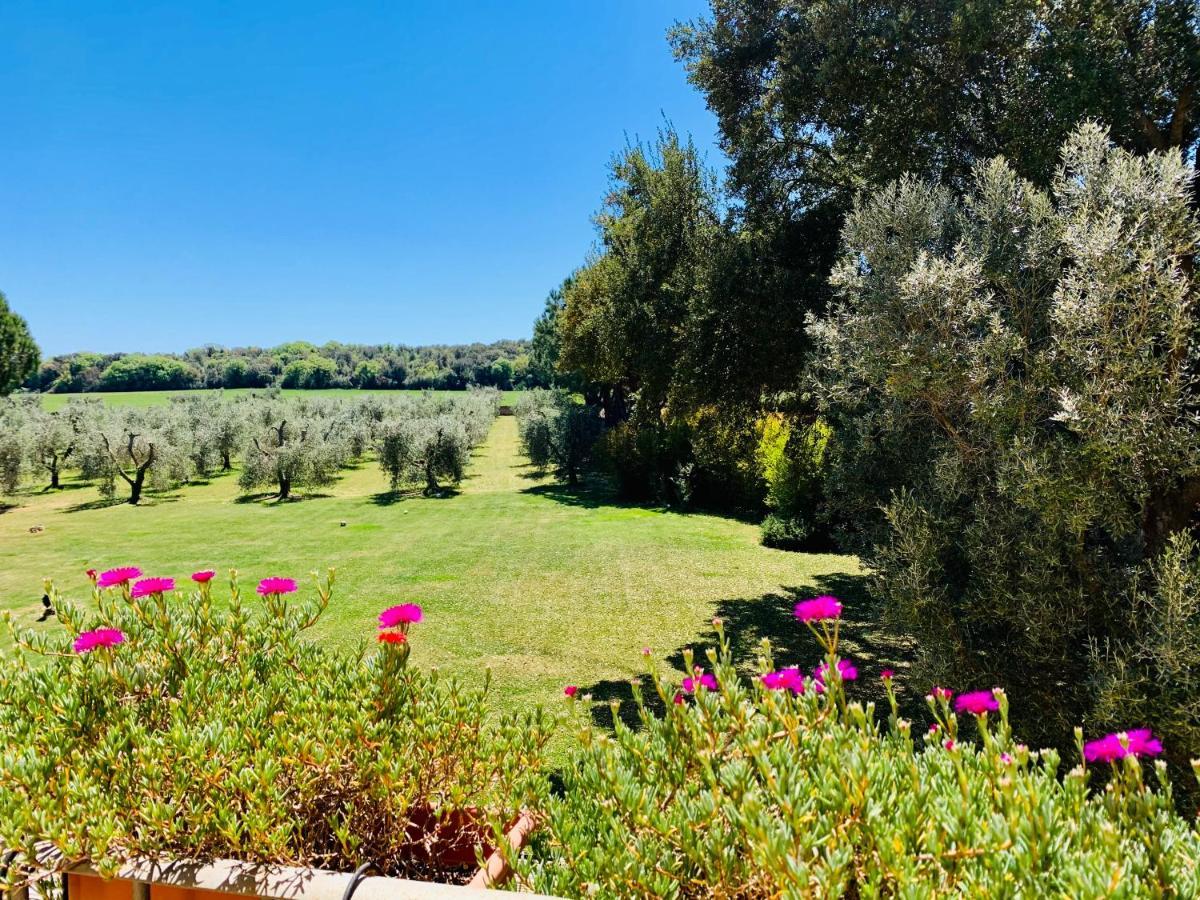 Il Borghetto Di Ansedonia Διαμέρισμα Εξωτερικό φωτογραφία