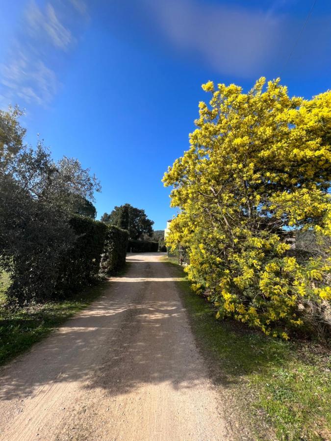 Il Borghetto Di Ansedonia Διαμέρισμα Εξωτερικό φωτογραφία